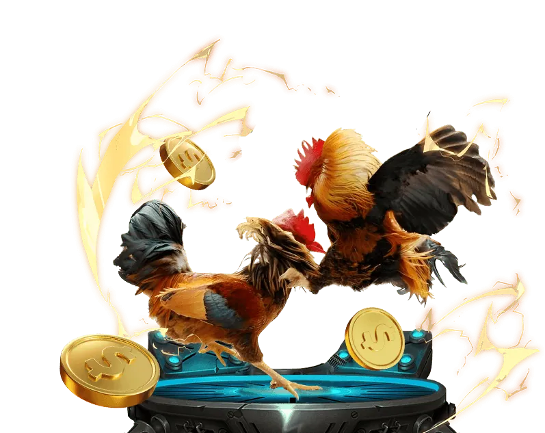 Sân chơi đá gà trực tuyến AE888